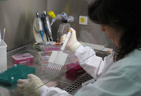 Técnico de ainia en los laboratorios de Clase III