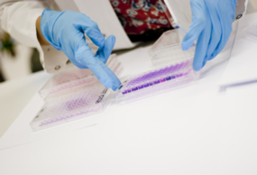 tecnico de ainia trabajando en el laboratorio