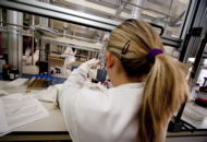 laboratorios químicos de ainia centro tecnológico