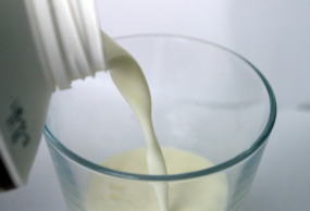 Planta piloto ainia, digestor in vitro 