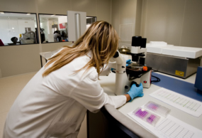 técnico de ainia en laboratorios