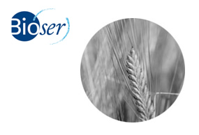 Bioser, asociado de ainia