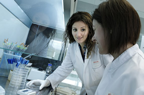 Técnicos de AINIA trabajando en el laboratorio de bioensayos de AINIA Centro Tecnológico, en modelos predictivos de crecimiento microbiológico