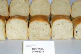 Imagen de las pruebas piloto realizadas en AINIA Centro Tecnológico en el marco del proyecto Bake4Fun, cuyo objetivo es conseguir un pan enriquecido con hierro microencapsulado