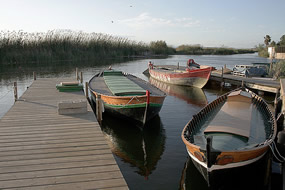 Foto de la Albufera de Valencia