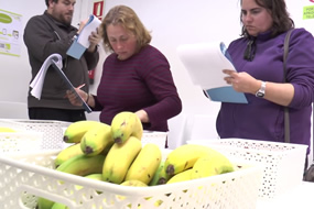 Consumidores, en un estudio de tracking sensorial en Consumolab, el centro de estudios del consumidor de AINIA Centro Tecnológico