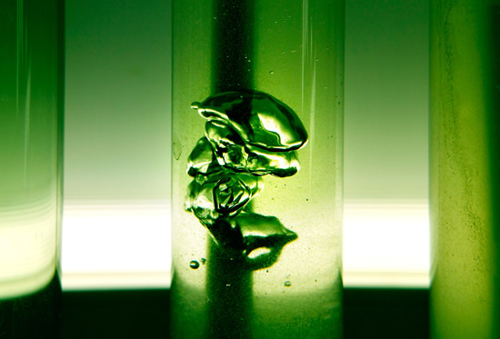 Imagen de una microalga, uno de los trabajos realizados en la planta de bioproducción de AINIA Centro Tecnológico