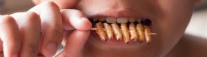 comer insectos