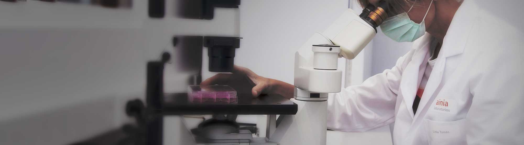 Avances en modelos in vitro para evaluar compuestos bioactivos