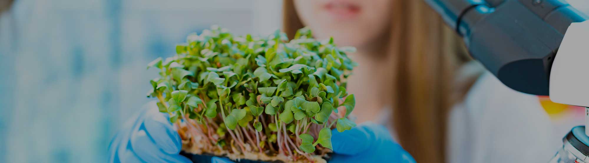 Webinar sostenibilidad producción alimentos