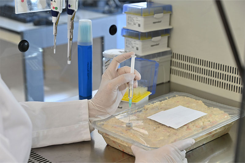 Challenge Test to ensure the microbiological safety of cosmetics