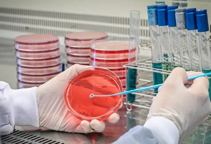Resistencia antimicrobiana
