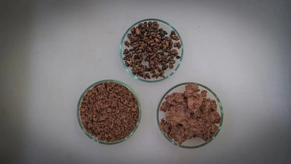oleosomas