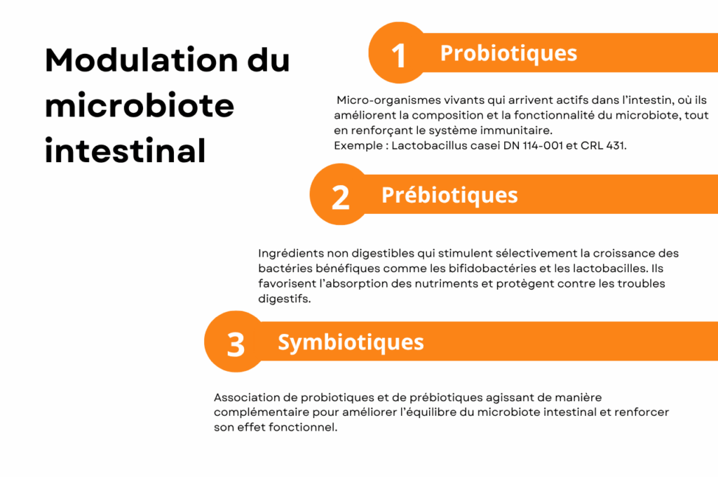 Infographie présentant trois stratégies de modulation du microbiote intestinal : probiotiques, prébiotiques et symbiotiques