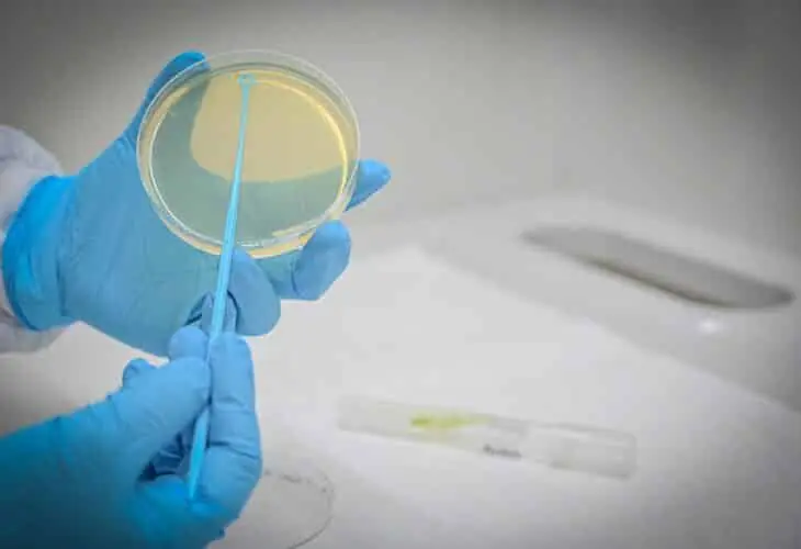 futura ley biotecnologia