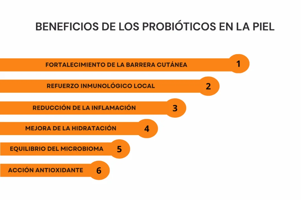 esquema de los beneficios de los probioticos para la piel