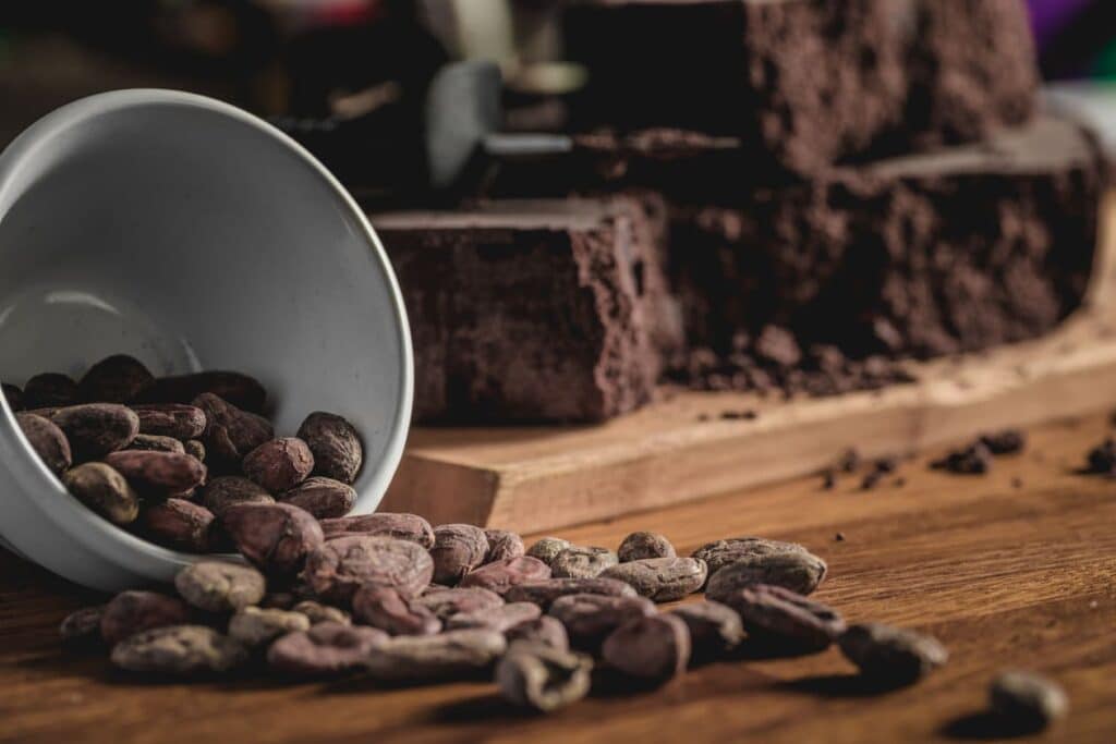 Close-up of raw cocoa beans spilling from a ceramic cup with blocks of defatted cocoa in the background, representing cocoa processing and ingredient applications.