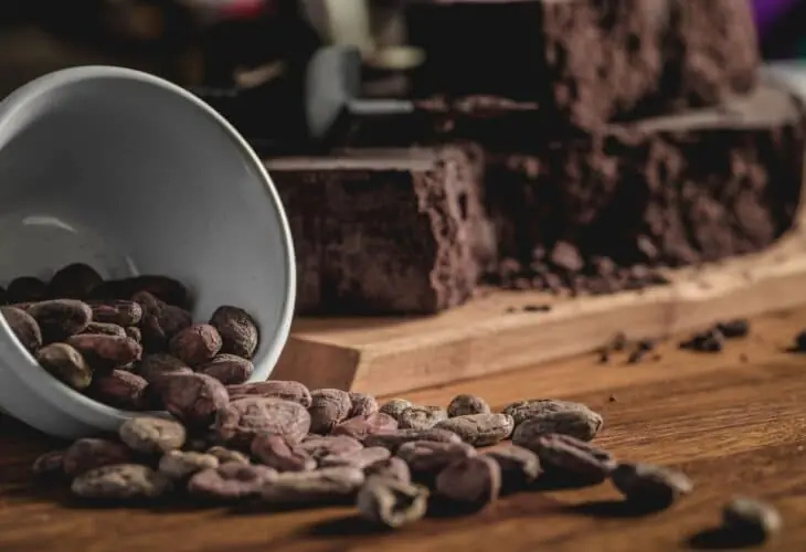 Close-up of raw cocoa beans spilling from a ceramic cup with blocks of defatted cocoa in the background, representing cocoa processing and ingredient applications.