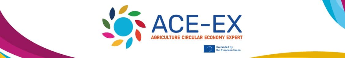 logo acex