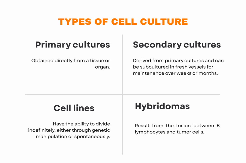 types of cell culture