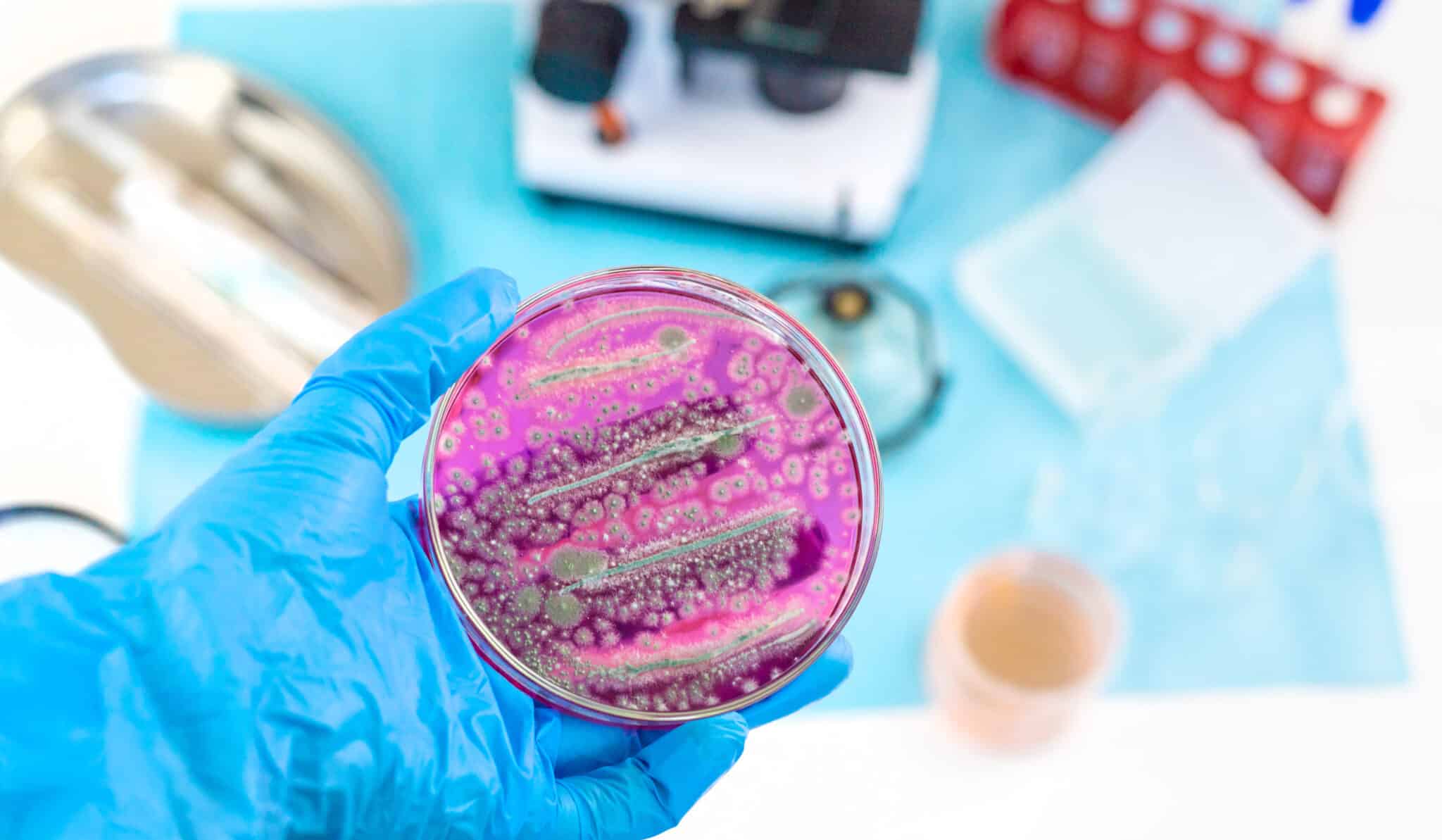 Which Microorganisms Are Key in the R&D Pharmaceutical Industry?