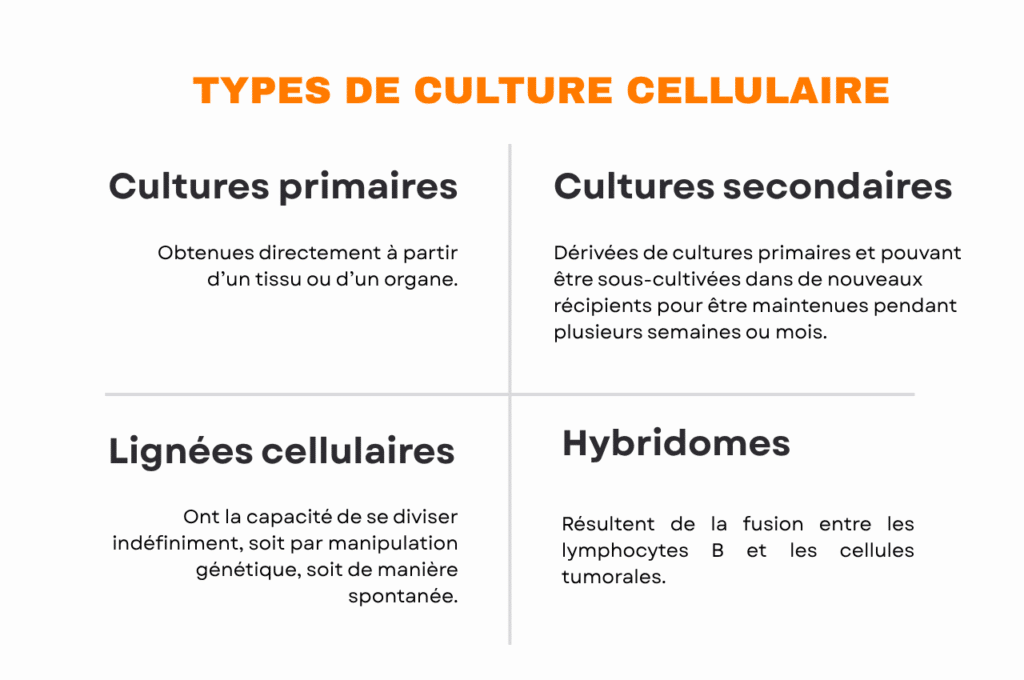 les 4 types de culture cellulaire