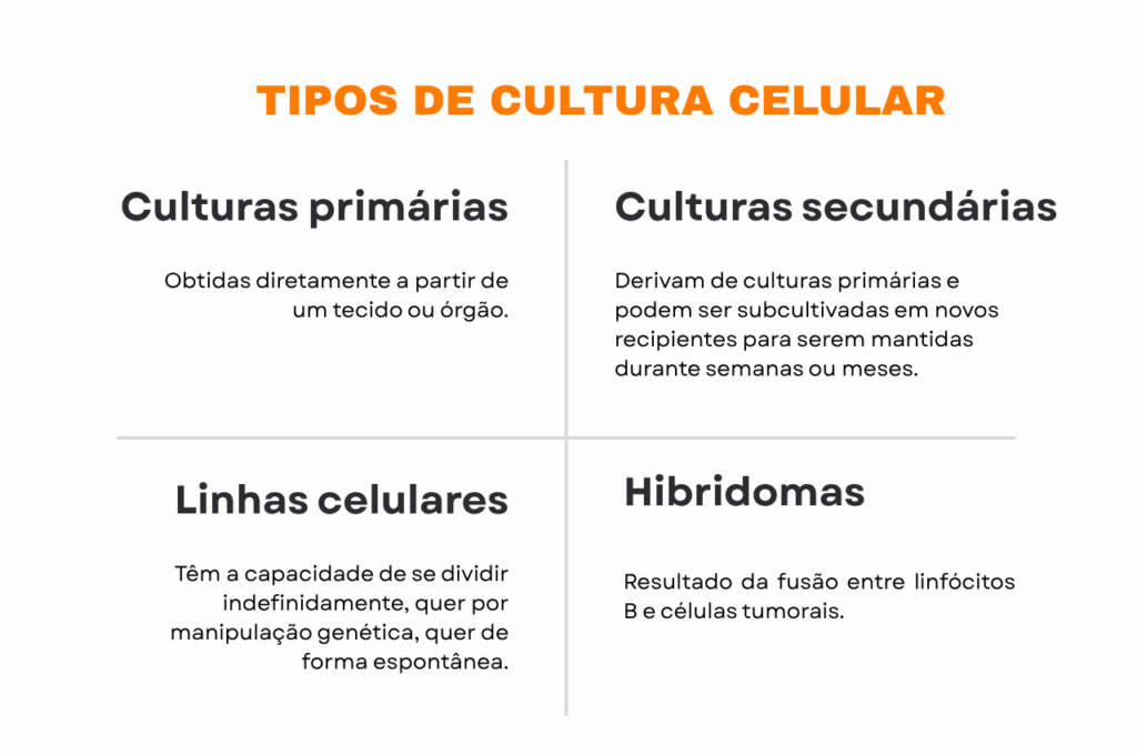 tipos de cultura celular