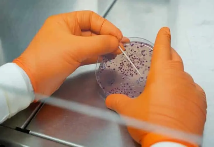 laboratorios-microbiologia-AINIA