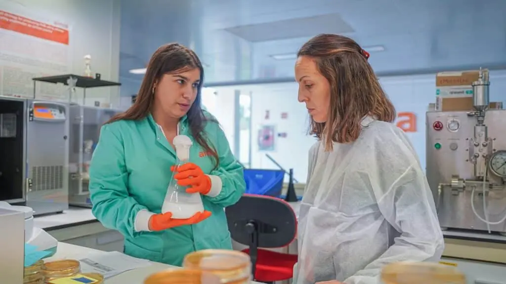 colaboración empresa