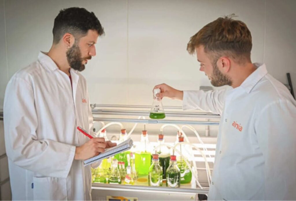 scientists and microalgae