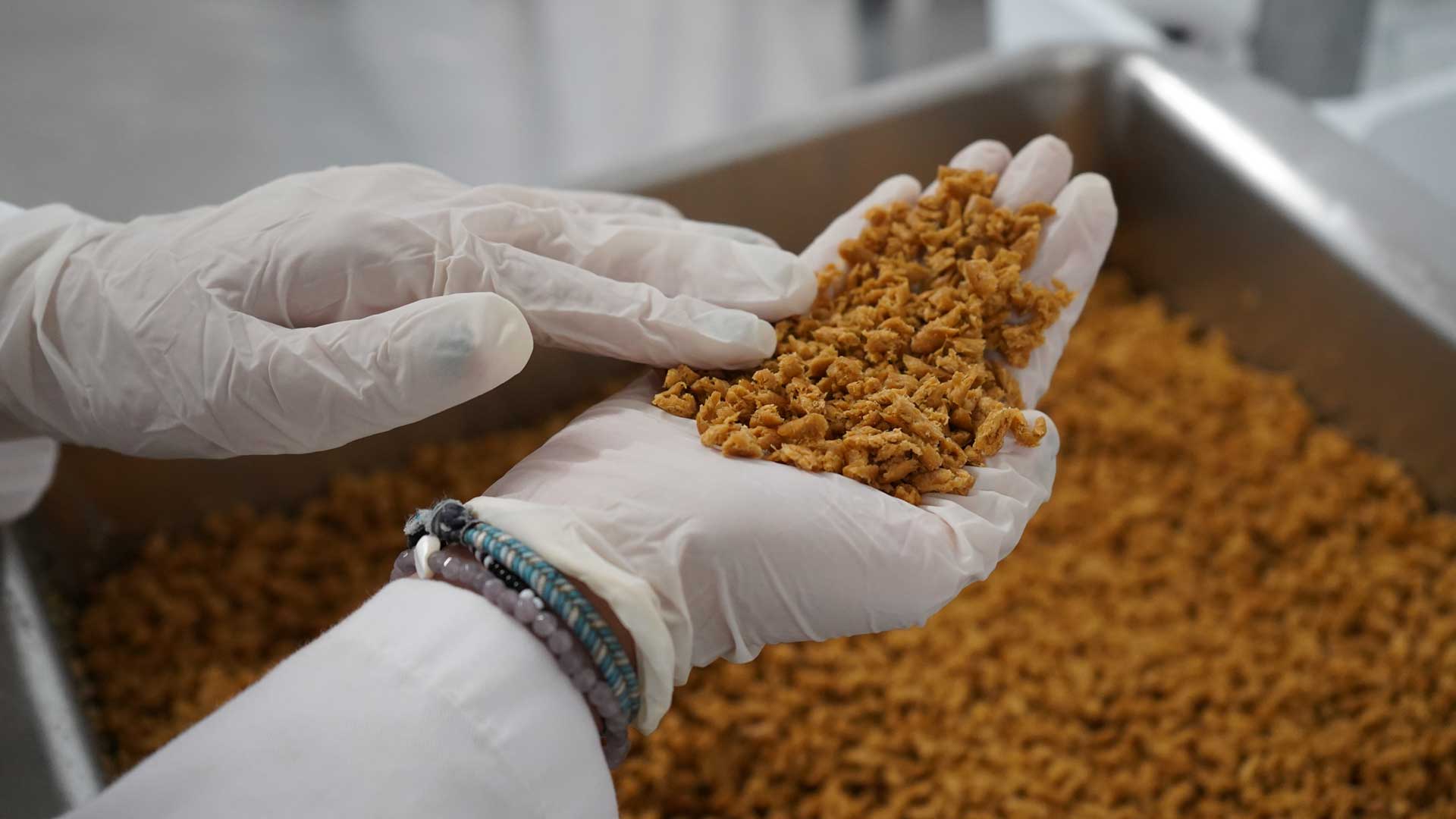 Producto extrusionado en planta piloto Validación de producto alimentario extrusionado en planta piloto