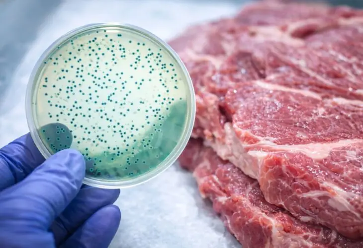 E. coli on meat