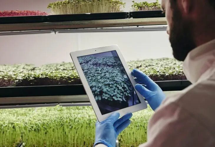IA innovación alimentaria