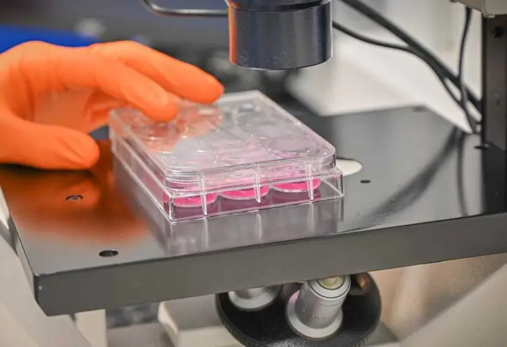 Imagen de laboratorio. Proyecto NeurOmics