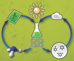 Imagen ejemplo microalgas biorrefinería Imagen ejemplo microalgas biorrefinería