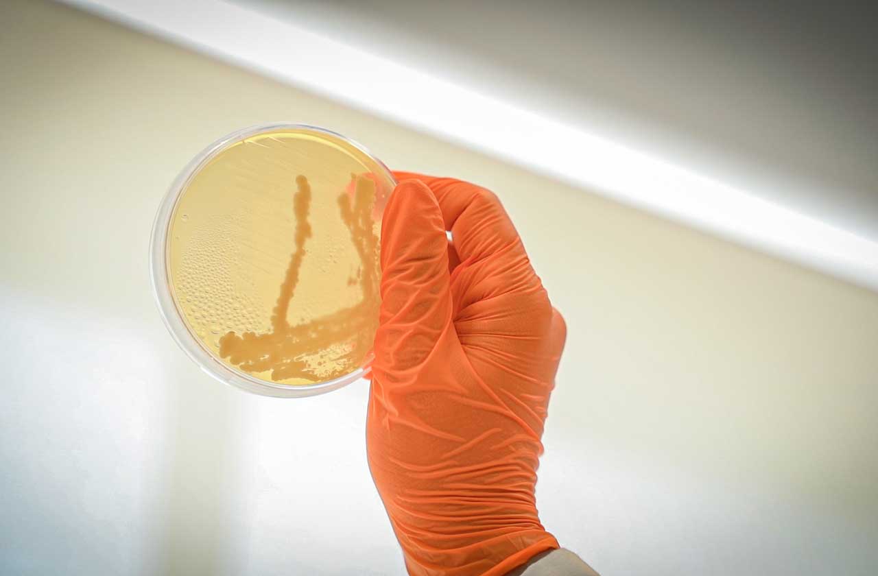 Proyecto Biotegra AINIA