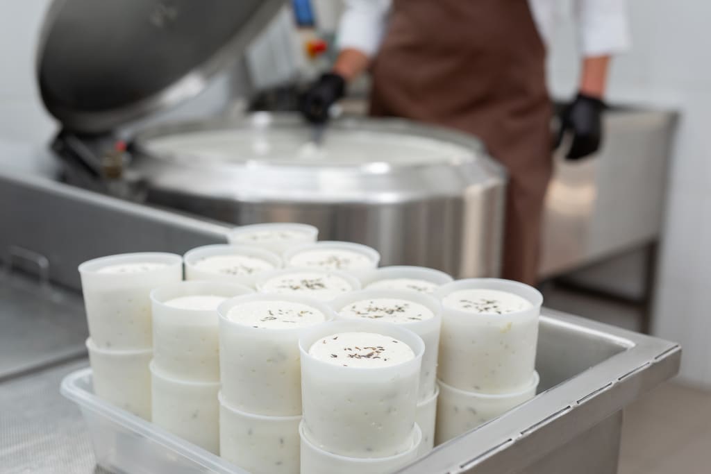 Alimentación plant based: análogos lácteos en moldes, recién elaborados en una planta piloto con equipos de acero inoxidable y operario al fondo.