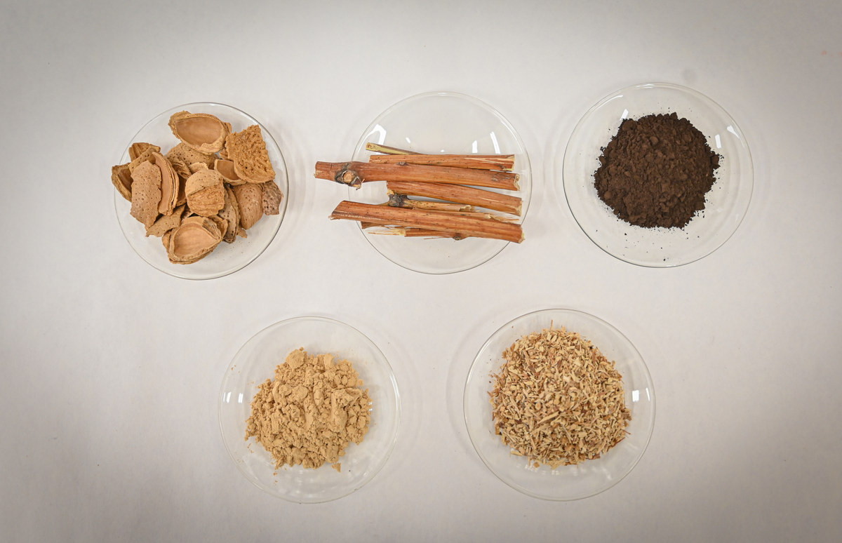 Muestras de cáscara de almendra, sarmientos de vid y materiales obtenidos a partir de biomasa, dispuestas en placas de laboratorio.