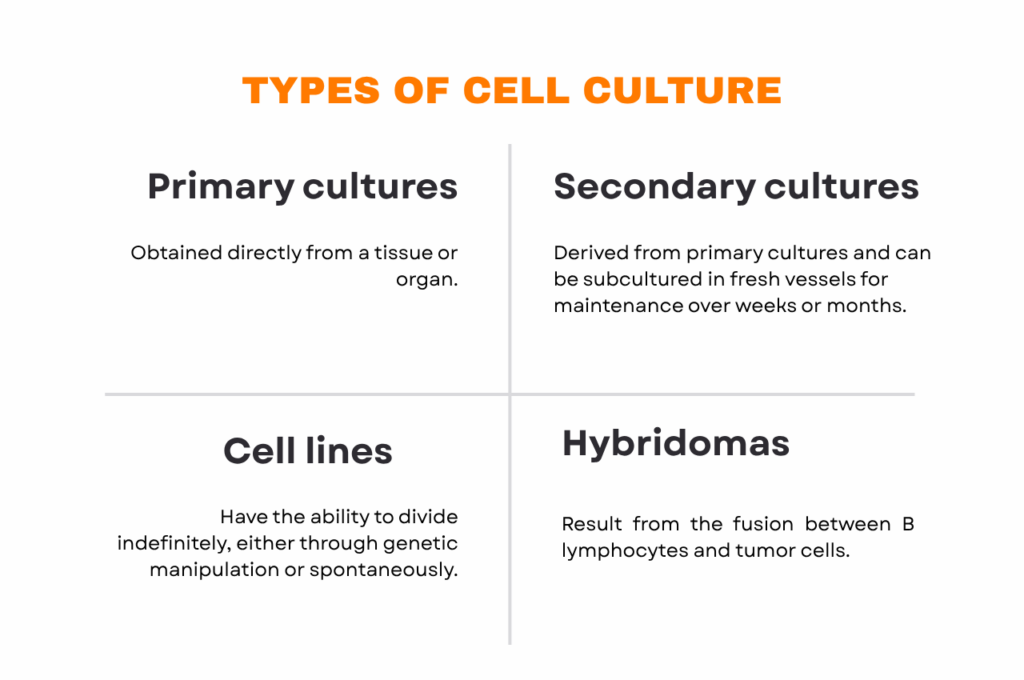  types of cell culture