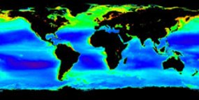 Foto satélite fitoplacton en el mundo (NASA) Foto satélite fitoplacton en el mundo (NASA)